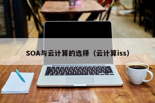 SOA与云计算的选择（云计算iss）