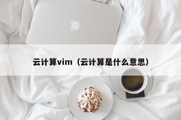 云计算vim（云计算是什么意思）