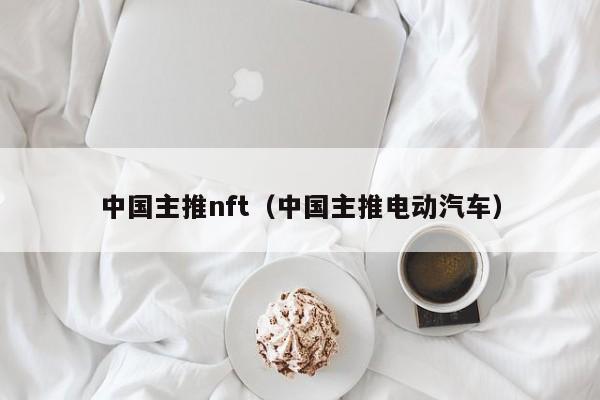 中国主推nft（中国主推电动汽车）