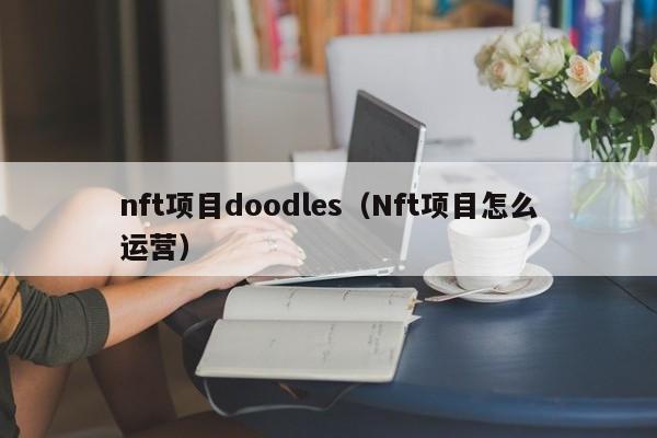 nft项目doodles（Nft项目怎么运营）