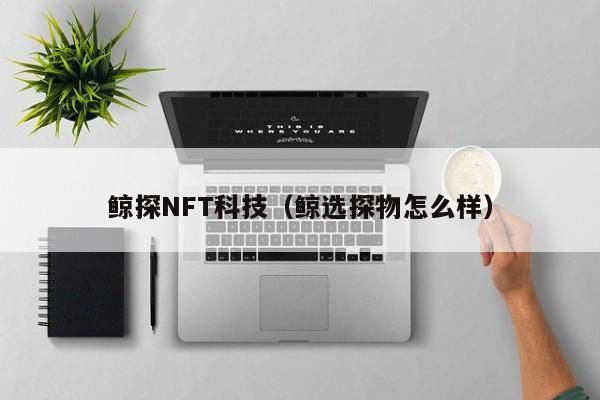 鲸探NFT科技（鲸选探物怎么样）