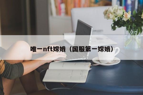 唯一nft嫦娥（国服第一嫦娥）