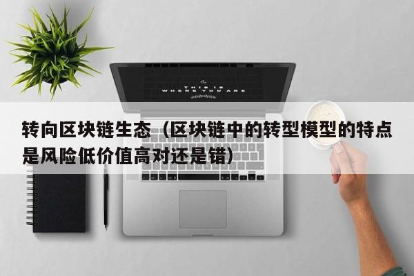 转向区块链生态（区块链中的转型模型的特点是风险低价值高对还是错）