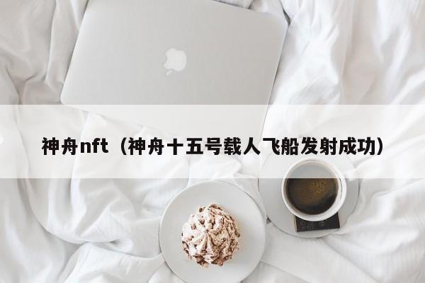 神舟nft（神舟十五号载人飞船发射成功）