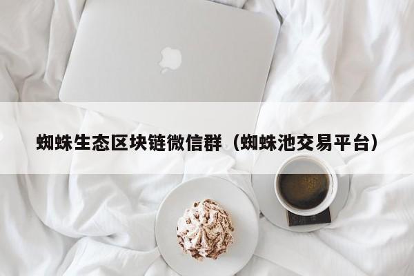 蜘蛛生态区块链微信群（蜘蛛池交易平台）