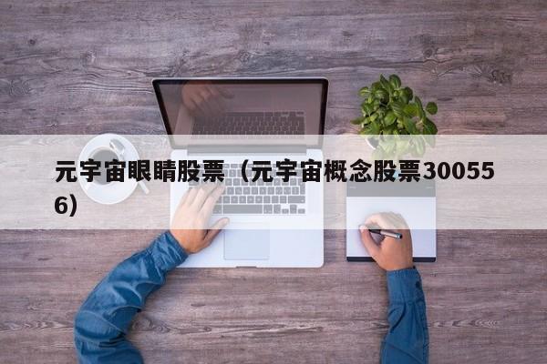 元宇宙眼睛股票（元宇宙概念股票300556）