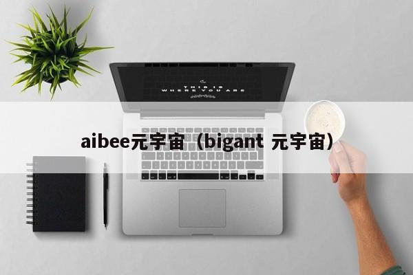 aibee元宇宙（bigant 元宇宙）